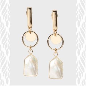 Pearlized Drop Earrings | NWT